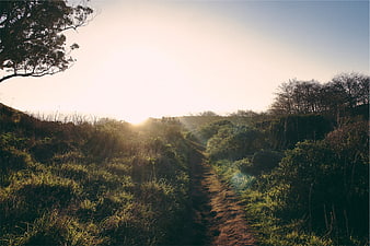 Sunlit dirt trail winding through grassy hills at golden hour