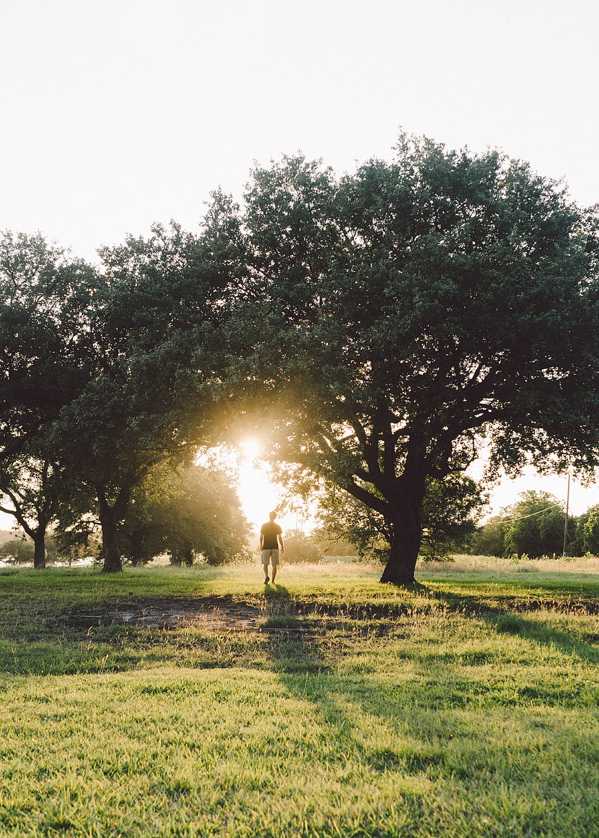 Man Walking Through Sunlit Trees at Sunrise