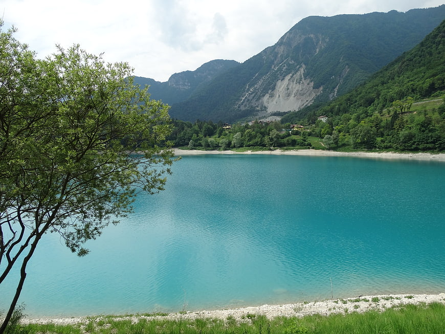 Turquoise alpine lake with green mountains and foreground tree