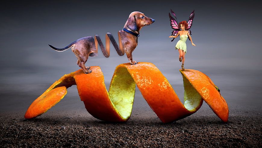 Surreal dachshund and fairy on orange peel spiral