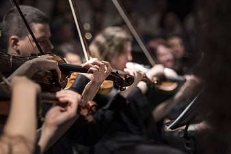 Close-up of violinists playing in a classical orchestra concert