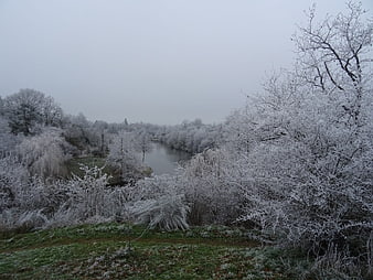 Frosty Winter Landscape with Frozen River and Trees
