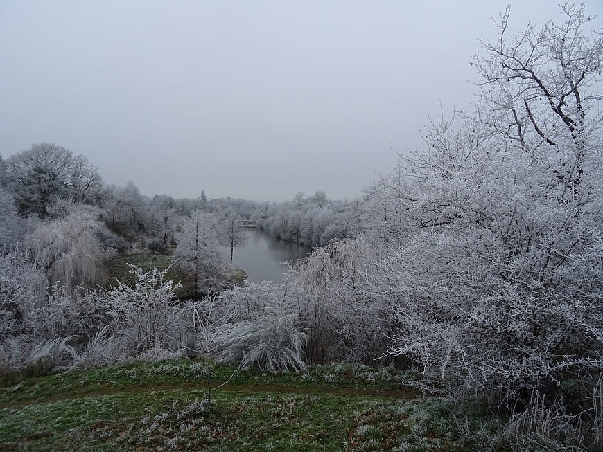 Frosty Winter Landscape with Frozen River and Trees