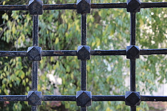 Close-up of black iron fence with green foliage background