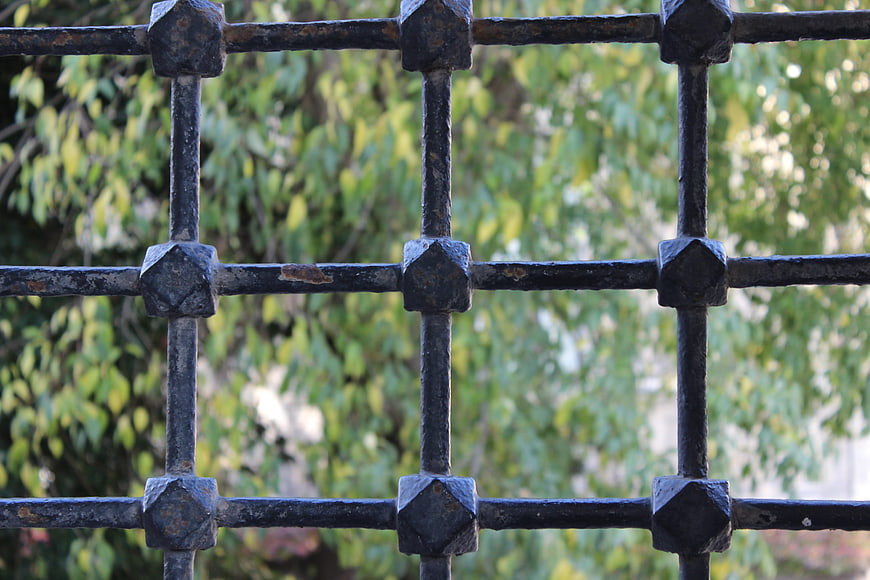 Close-up of black iron fence with green foliage background