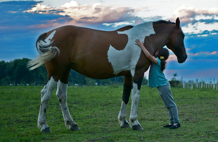 Young Girl Hugging Paint Horse in Green Pasture at Sunset