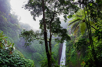 Misty Waterfall in Lush Tropical Rainforest