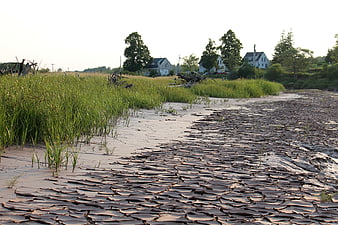 Cracked mud riverbed with grassy banks and distant houses