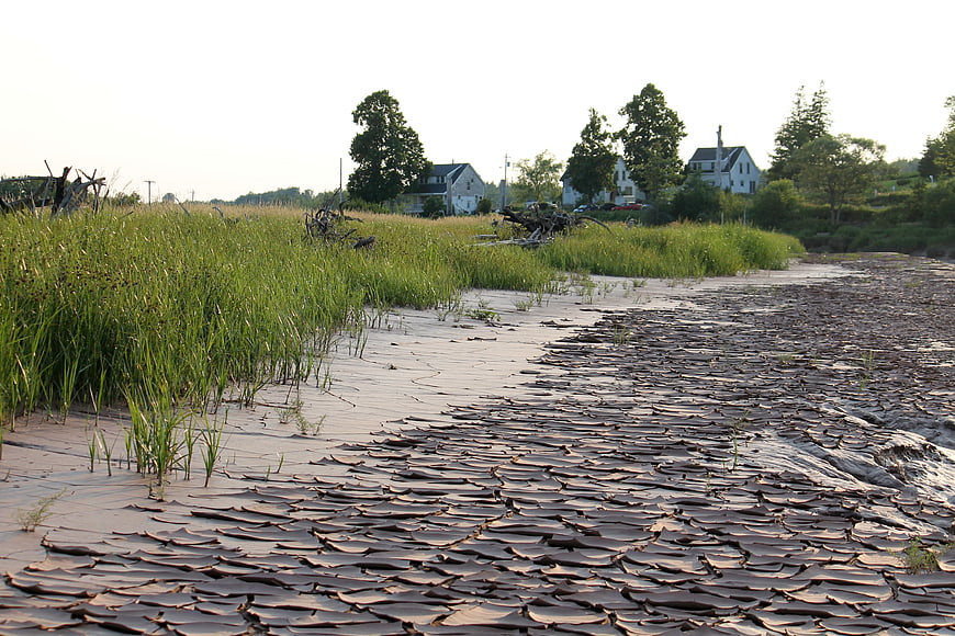 Cracked mud riverbed with grassy banks and distant houses