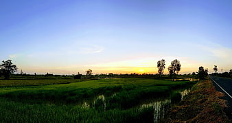 Sunset over green rice paddies and rural road