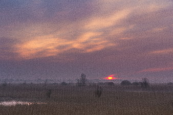 Misty Sunrise Over Lauwersmeer Wetlands Landscape