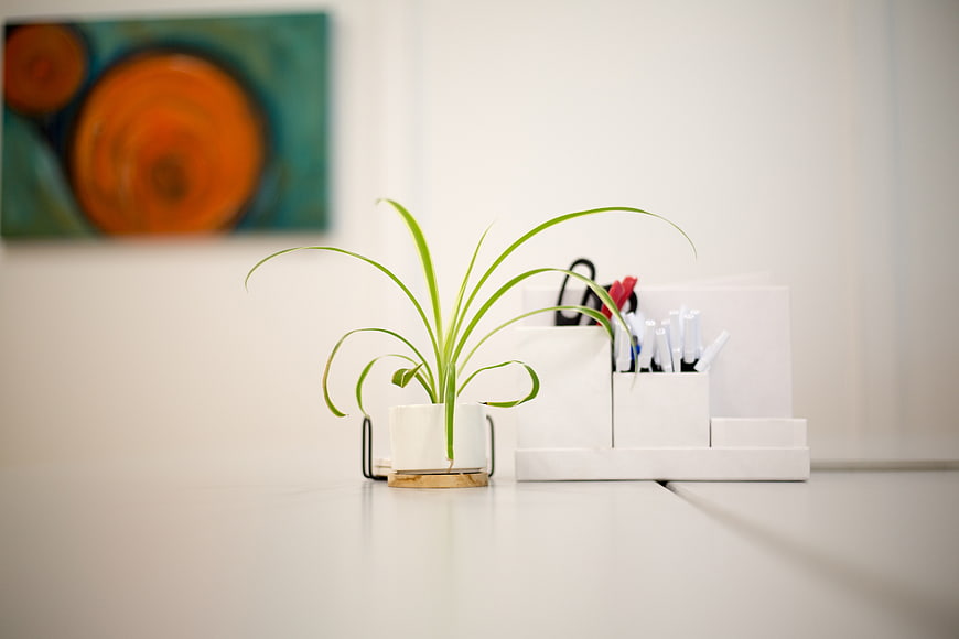 Minimalist white desk with green plant and office supplies