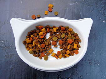 White Cat-Shaped Bowl Filled With Colorful Dry Pet Food