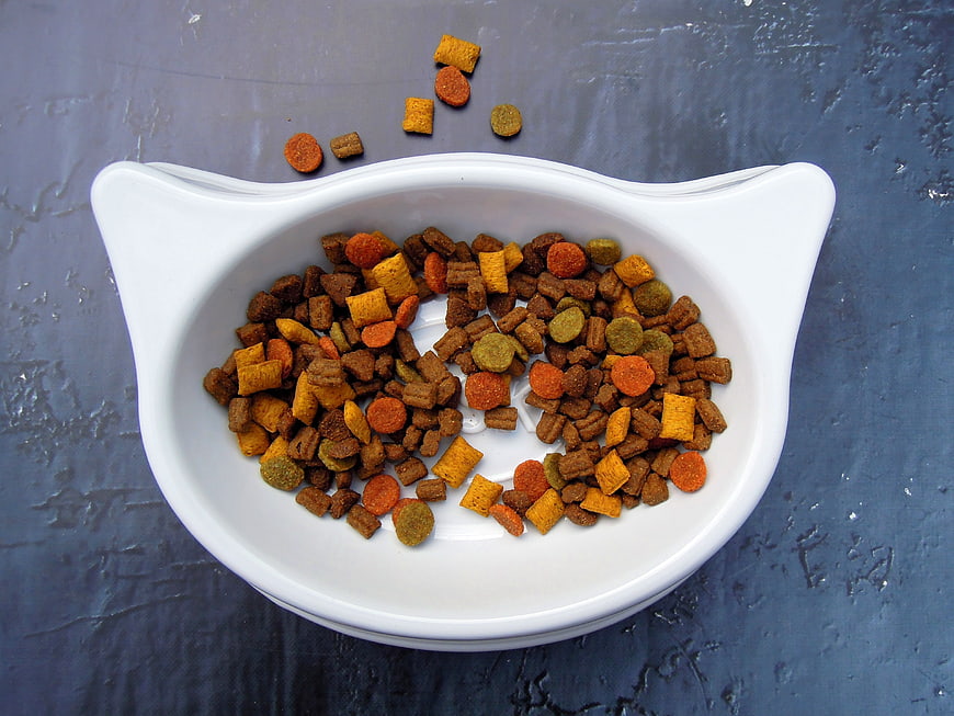 White Cat-Shaped Bowl Filled With Colorful Dry Pet Food