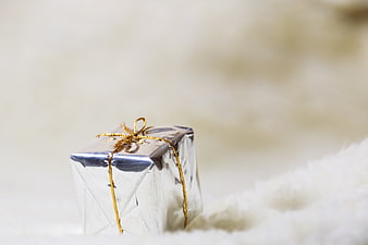 Silver Gift Box With Gold Ribbon On White Fur Background