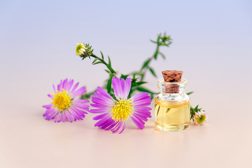 Essential oil bottle with purple aster flowers on pastel background