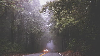 Car Driving on Foggy Forest Road with Headlights