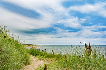 Coastal Seaside Path Leading to the Sea in Scotland