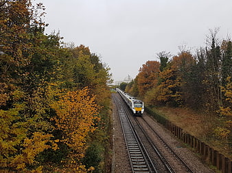 Train on tracks through autumn forest with dome building