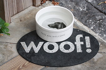 White dog bowl on woof mat with pets welcome text