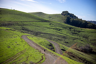Lone Hiker on Winding Dirt Road in Green Hills
