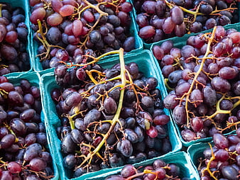 Fresh purple grapes in blue cardboard boxes at market