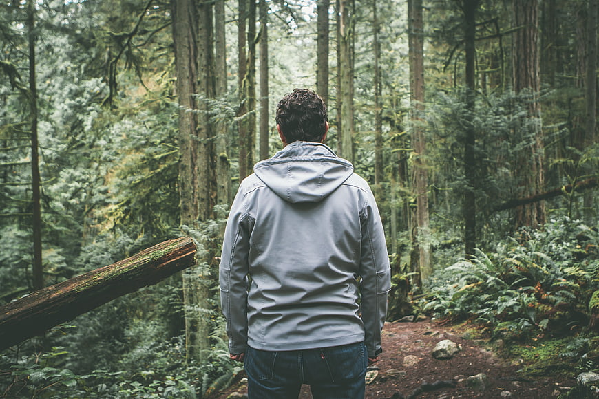Man in Grey Hoodie Standing on Forest Trail