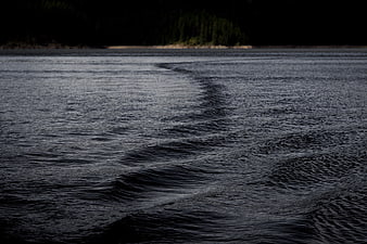 Dark rippling water surface with distant forest shoreline