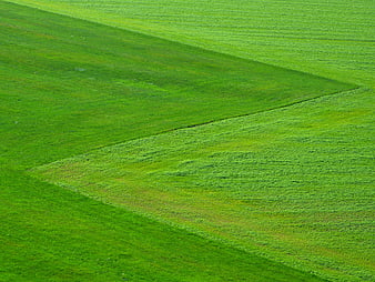 Abstract Green Grass Field with Diagonal Patterns