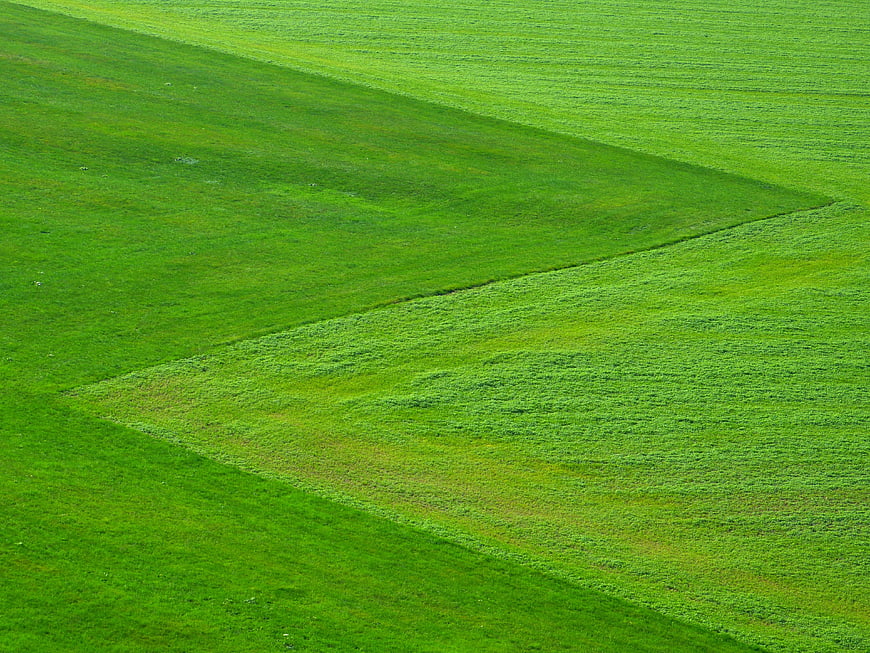 Abstract Green Grass Field with Diagonal Patterns