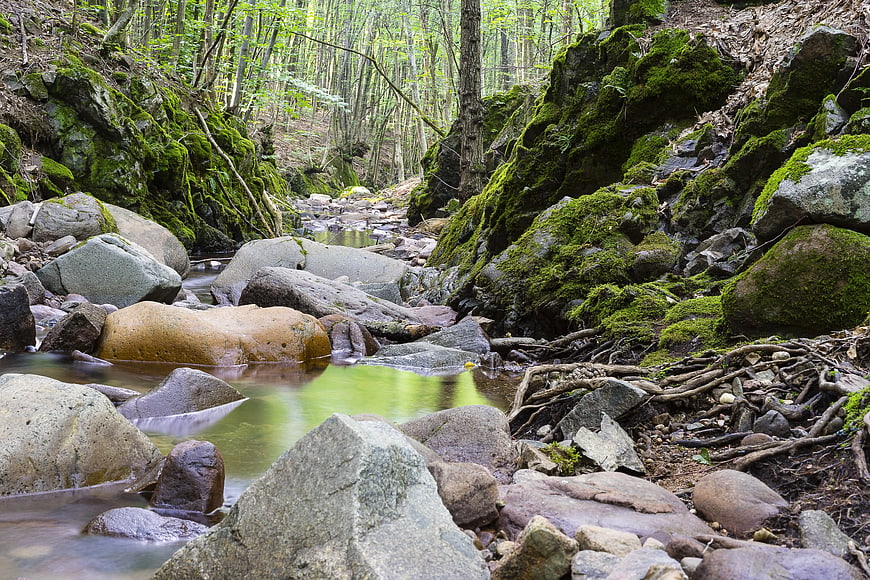 Mossy Rocks and Stream in Lush Forest Landscape