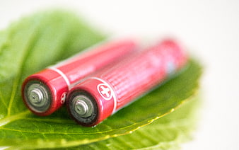 Red batteries on green leaf for eco energy concept