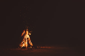 Campfire Burning on Dark Beach at Night