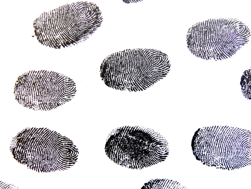 Black Fingerprint Pattern Collection On White Background