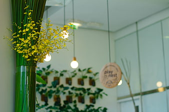 Yellow flowers in vase with blurred office interior background