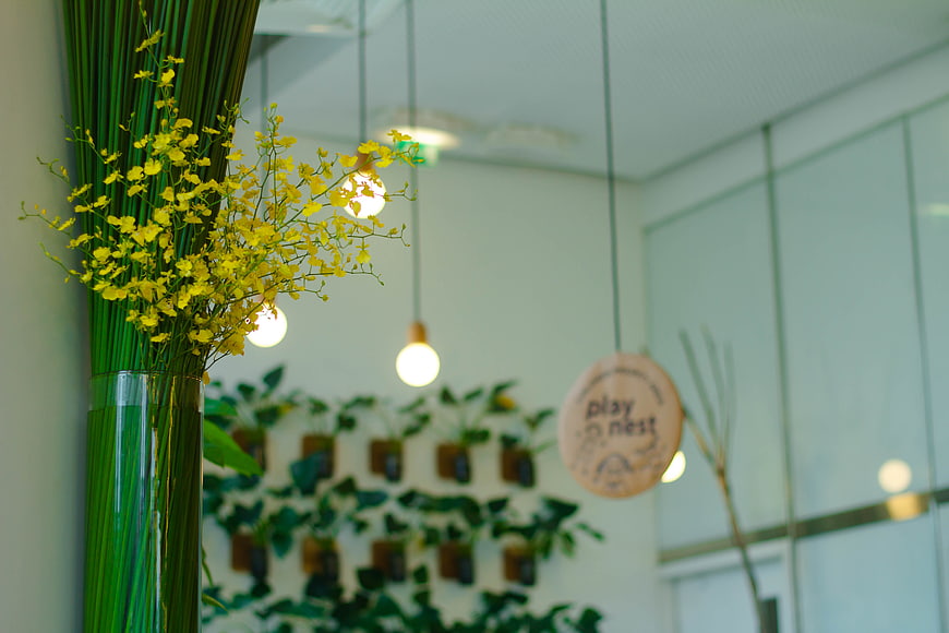Yellow flowers in vase with blurred office interior background