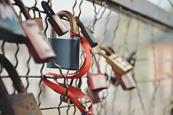 Rusty padlocks and red ribbon on chain link fence
