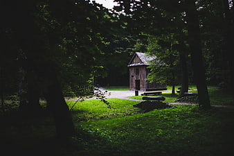 Rustic wooden cabin in a dark green forest clearing