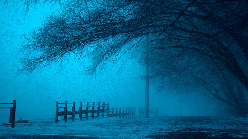 Snowy Winter Scene with Wooden Fence and Bare Trees