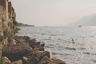 Ducks Flying Over Rocky Lake Shore with Mountains
