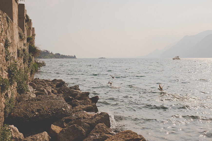 Ducks Flying Over Rocky Lake Shore with Mountains
