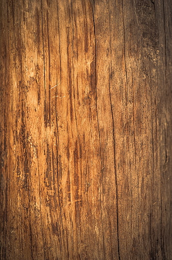 Close-up of weathered wood texture with natural grain and rustic brown tones
