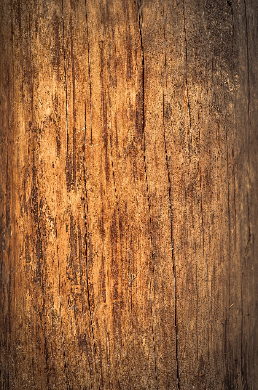 Close-up of weathered wood texture with natural grain and rustic brown tones