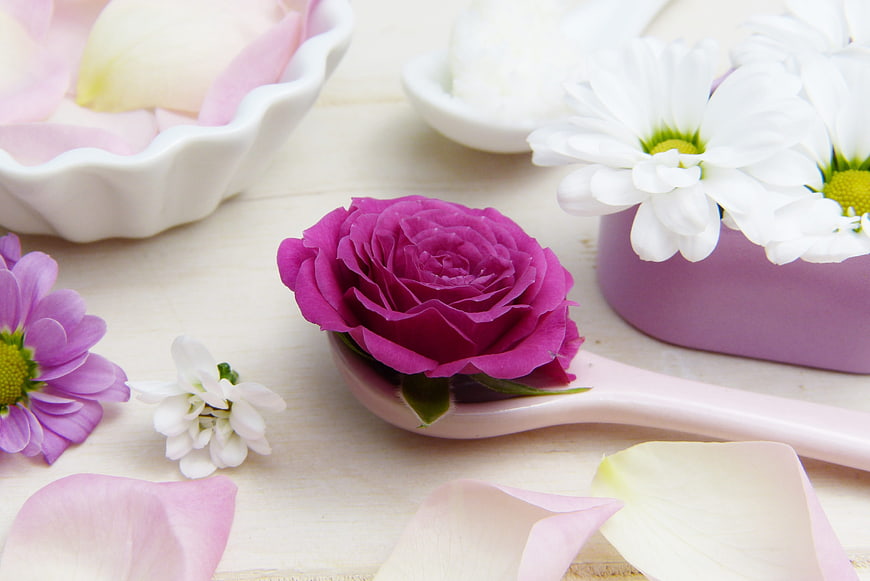 Pink Rose on Spoon with Spa Flowers and Petals