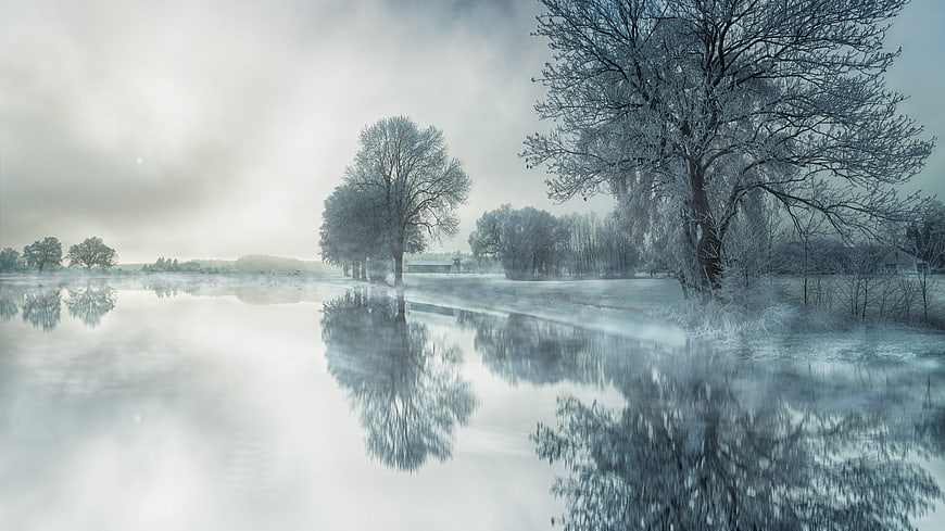 Frosty Winter Landscape with Foggy Lake and Reflections