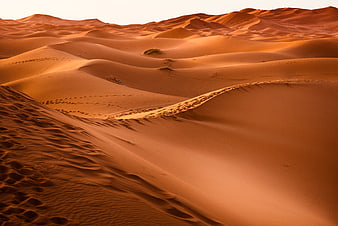 Golden Hour Sand Dunes Desert Landscape