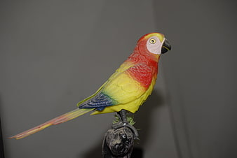Colorful Hand-Painted Wooden Parrot Figurine on Perch