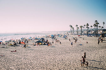 Crowded Beach Scene with Palm Trees and Ocean View