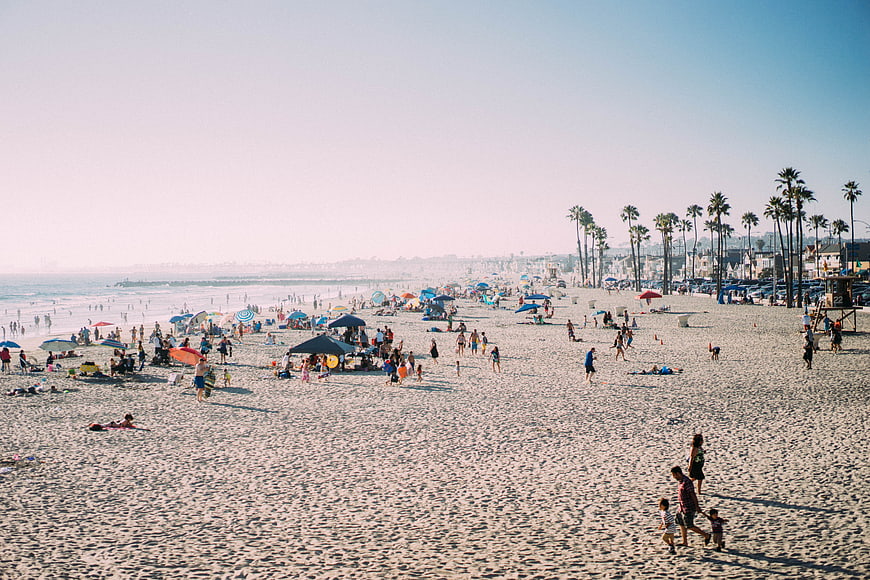 Crowded Beach Scene with Palm Trees and Ocean View