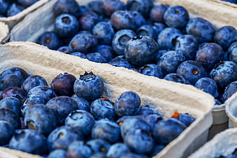 Fresh Blueberries in Cardboard Containers Close-Up